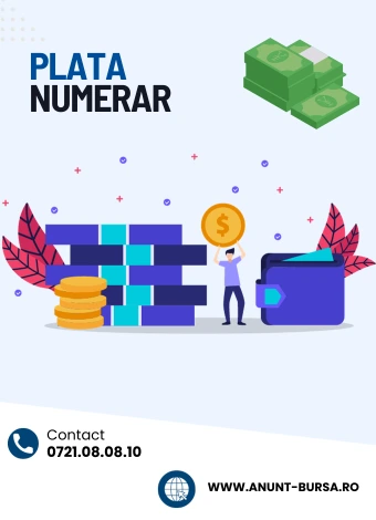 plata numerar bursa